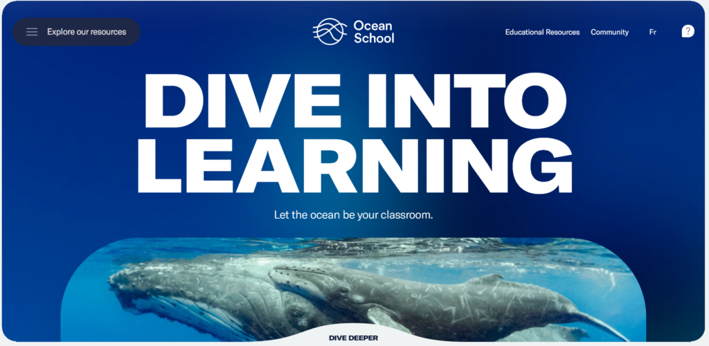Beispiel Webdesign Ocean School Webseite