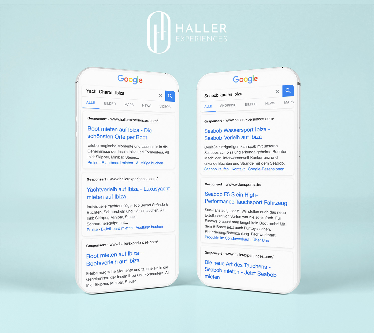 Haller Experiences Google Ads
