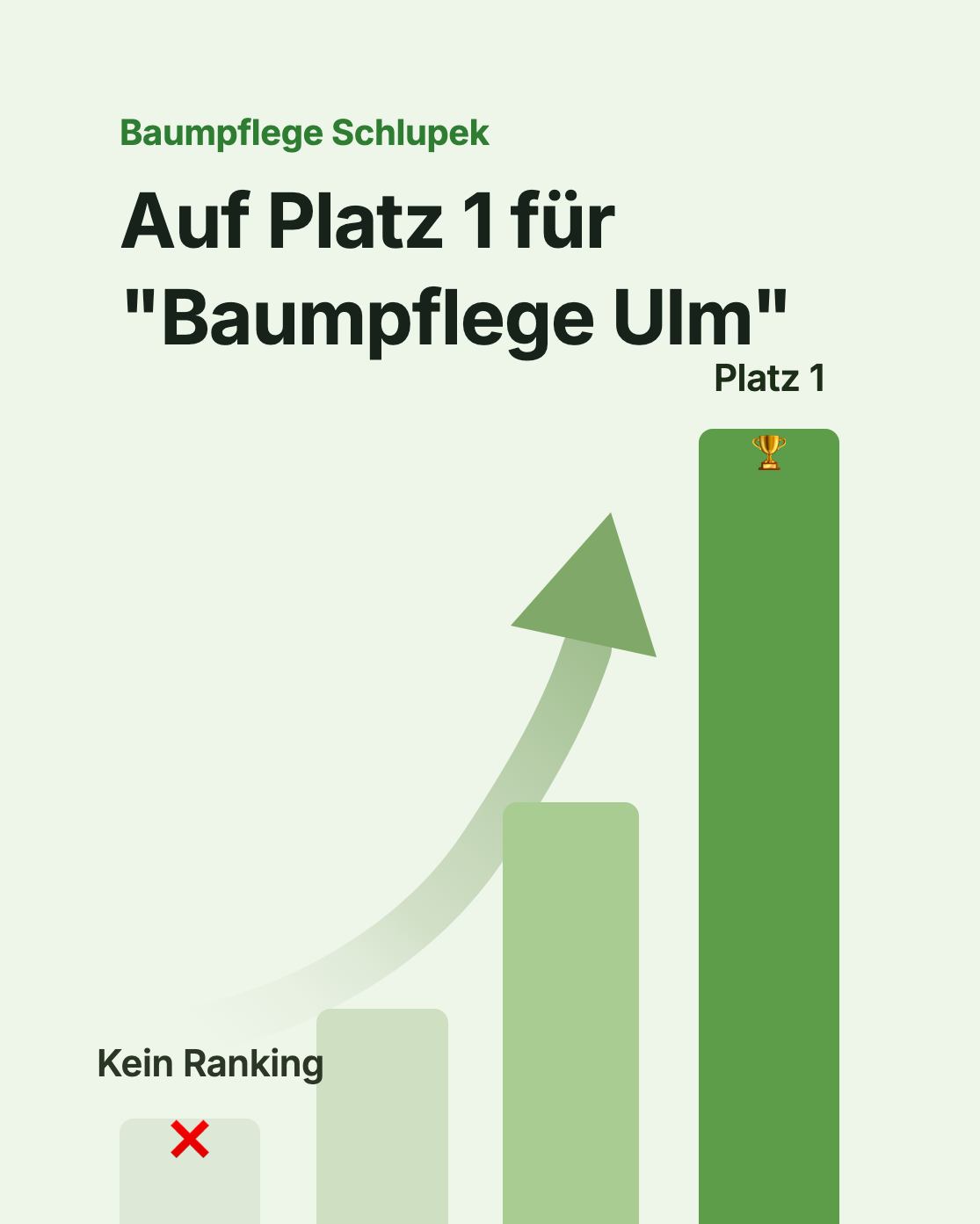 Baumpflege Schlupek - Platz 1 für Baumpflege Ulm